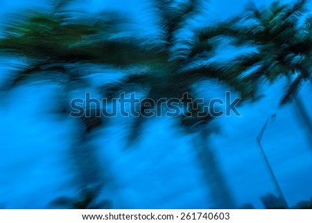 Abstract background blur palm leaves in motion during tropical hurricane  
Stormy weather motion blur palm trees against blue sky during Florida hurricane for blog magazine poster book cover