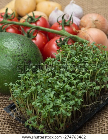 Avocada cress tomatoes onions garlic potatoes on rustic burlap background \
Clean-eating vegan meal with healthy natural organic food for low carb or low fat diet arranged on jute fabric