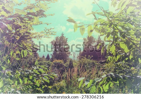 Autumn garden with flowers green plants trees against blu sky \
Beautiful romantic magic garden, image is filtered for vintage effect