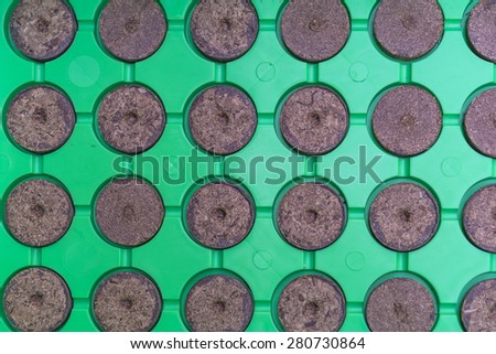 Aerial view many dry planter peat pellets in green tablet \
Round peat moss pills for seedlings on green plastic tray prepared for watering, for gardening or agriculture concept