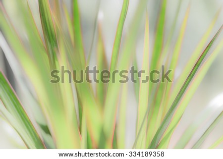 Abstract green plant texture blurred lines. \
Natural background pattern, wallpaper art for garden blogs, business websites