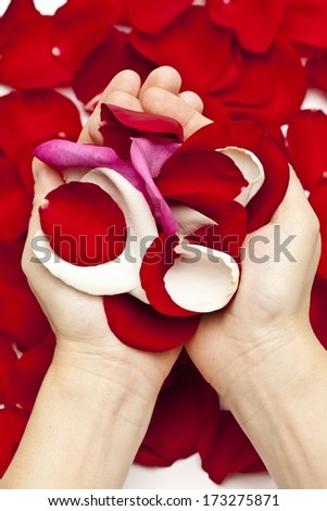 Hands Holding Rose Petals