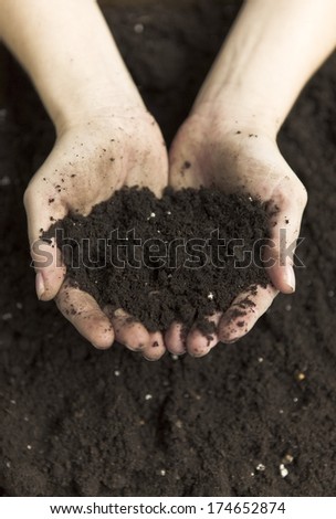Dirt and Hands
