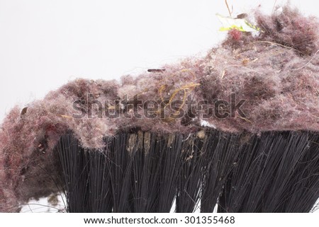 Common house dust on a brush