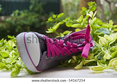 Fancy sneaker with the pink laces lies in green grass