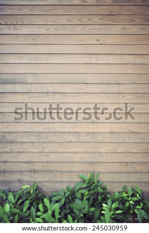 wood and leave background