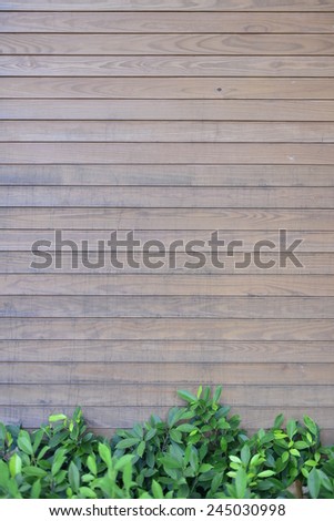 wood and leave background