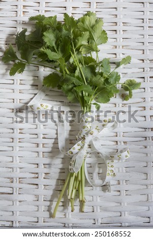 bouquet of fresh coriander or cilantro, on background white wicker