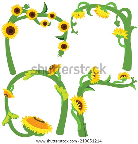 Design of sunflower isolated beautiful and colorful flowers, stems and leaves.