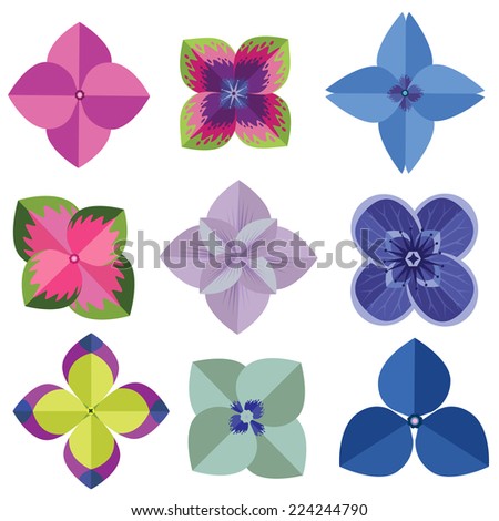 vector of Various  Hydrangea Flowers Isolated on White Background.