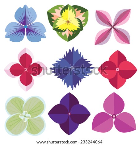 vector of Various Hydrangea Flowers Isolated on White Background.