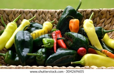 Hot and Poblano Peppers in a market basket - from farmers market to your table for the perfect spice blend