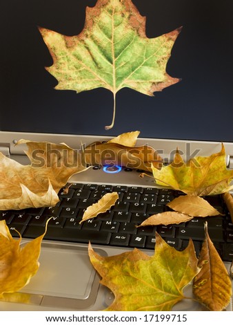 Metaphor about autumn on the computer and internet.