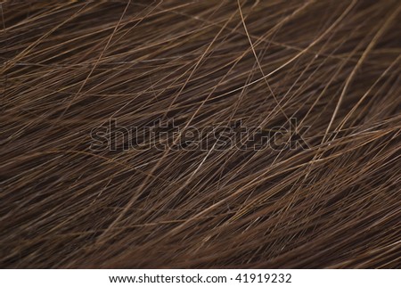Human hair. Macro