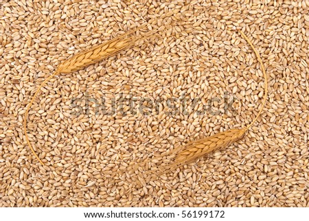 Wheat grain. Background