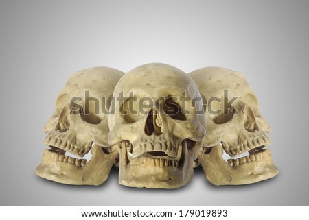 Three skull heads on gray background.
