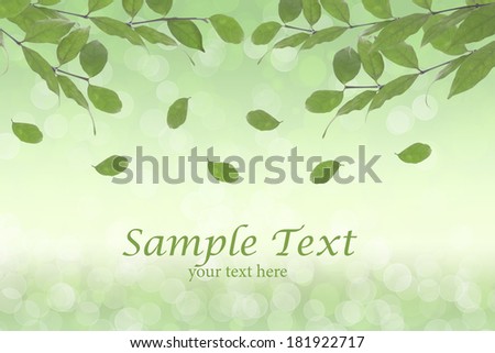 Leaves falling on green background with sample text.