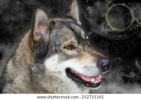 Portrait of wolf at night with moon, digital retouch.