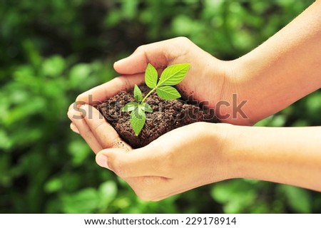 plant in hands.