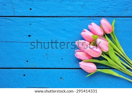 Pink Tulips on blue paint wood background.
