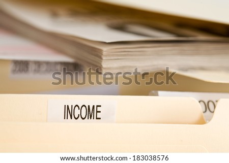 Taxes: Focus on Income File Folder with Instruction Booklet
