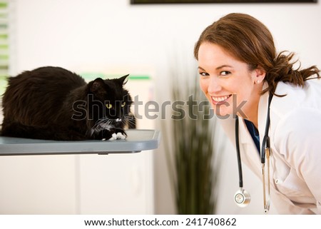 Veterinarian: Smiling Vet With Black Cat Looks At Camera
