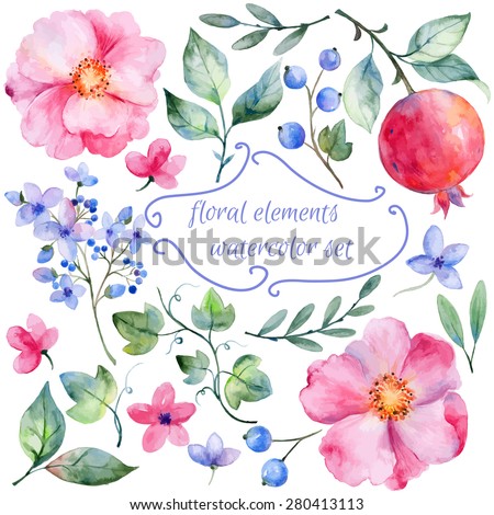 Set of different red, pink flowers and pomegranate  for design. Watercolor roses, leaves. pomegranate . Set of floral elements for your compositions.