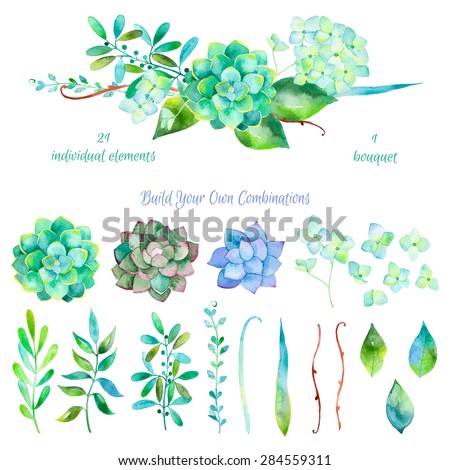 Vector floral set.Colorful floral collection with leaves and flowers, drawing watercolor.Colorful floral collection with flowers + 1 beautiful bouquet.Set of floral elements for your compositions.