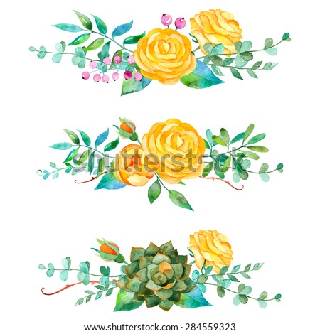 Vector flowers set. Colorful floral collection with leaves and flowers. 3 beautiful bouquet for your design with roses, leaves, berries and succulents plants