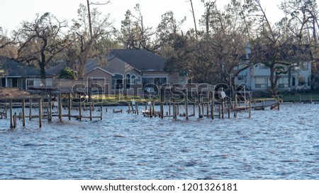The hurricane Michael and storm surge causes property damage among the people in Panhandle Florida