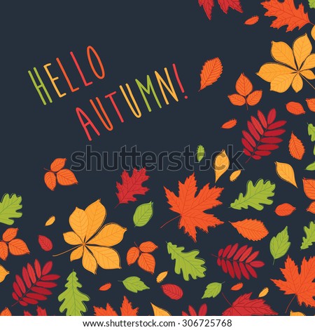 Hello autumn! Background with hand drawn autumn leaves. Fall of the leaves. Autumn leaves are drawn on the chalkboard. Sketch, design elements. Vector illustration.