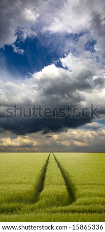 Tramlines in mature crop below gathering angry storm clouds in vast flat landscape