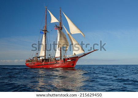 Sailing ship. Collection of yachts and ships