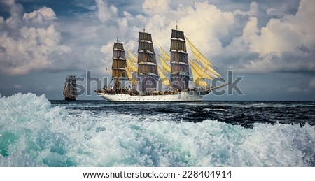 Sailing regatta. A collection of ships and yachts