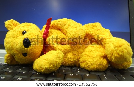 computer teddy