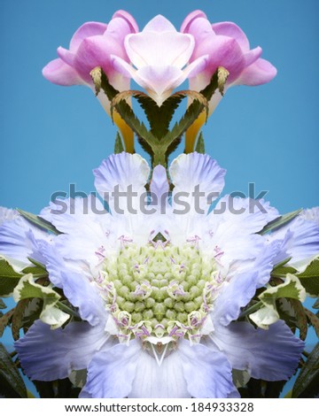 A mirror image of pink and purple flowers