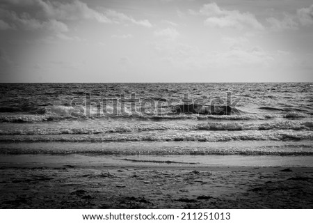 Black and White Ocean Waves