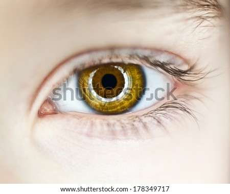 close up of hazel eye with round light