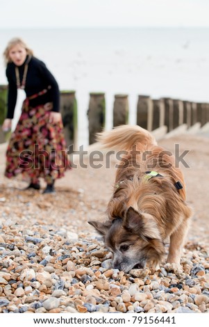 Dog and woman playing on a beach