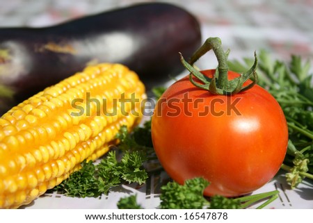 Gardener vegetables, corn, tomato and parsley