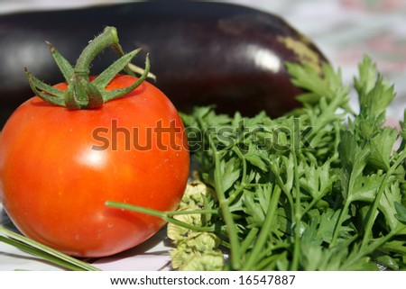 Gardener vegetables,tomato and parsley
