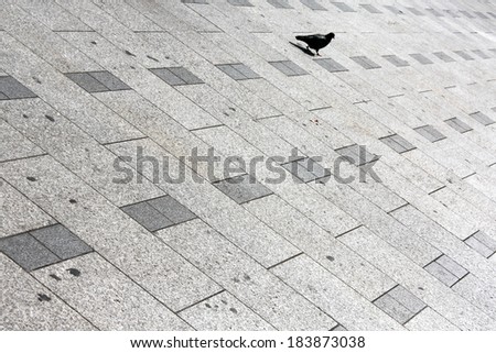 Stone floor background  French style tiles over Champs Elysees  avenue - Stone corridor in vintage style of France