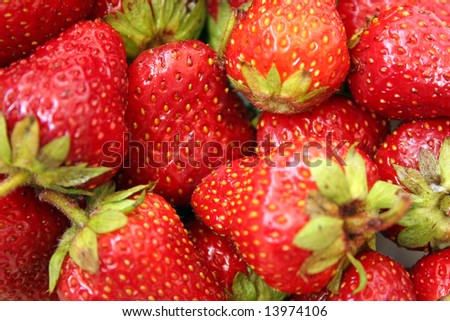 Red background made of strawberries - Strawberry red fruit background
