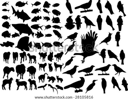 Group Of Animals Stock Vector 28105816 : Shutterstock Group Of Animals Stock Vector 28105816 : Shutterstock