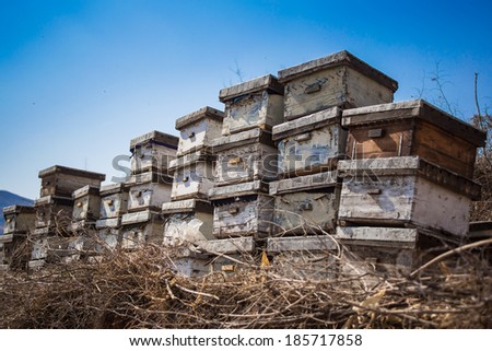 Beehive in china rural
