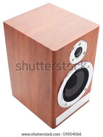 The big acoustic speaker on a white background