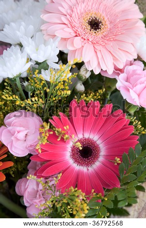 The big bouquet with chrysanthemums suitable for a celebratory card