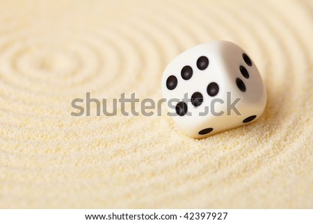 Playing dice on sand in Japanese rock garden