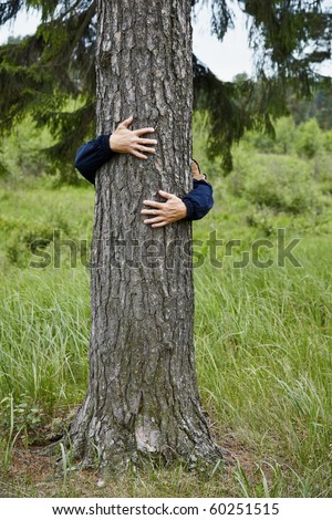 Bole Tree
