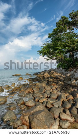 Coast of the tropical sea. Vertical landscape. Thailand, Phuket Island